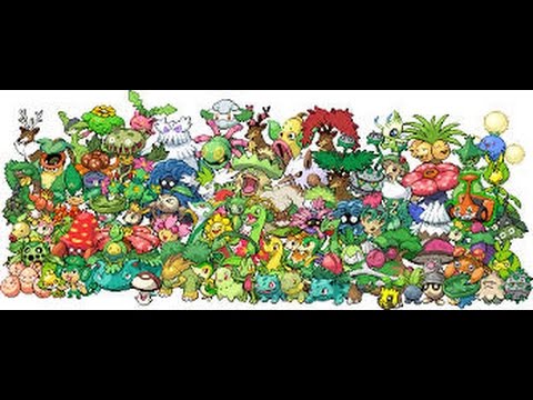 MONOTYPE BATTLES #16 GRASS @ POKEMON REVOLUTION ONLINE