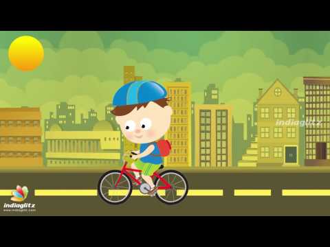 The Human Life Cycle || Birth to Death in less than 2 minutes || Animated video