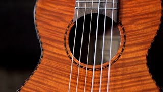 Video thumbnail for GUITARLELE JAM Feat. Sean Daniel by Andres Colin