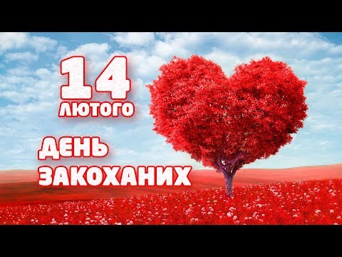 Орест Фількін, відео 4