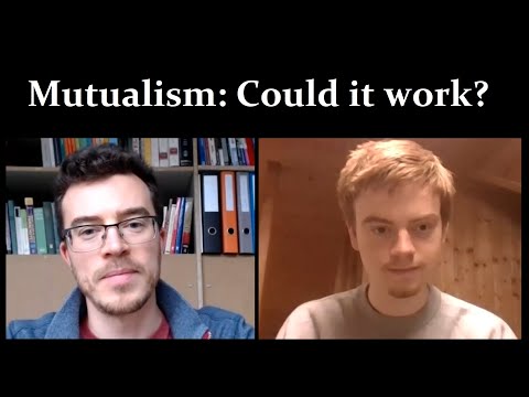 EN - Mutualism: Could A Mix of Capitalism and Socialism actually work? | w Christoffer Dohlen