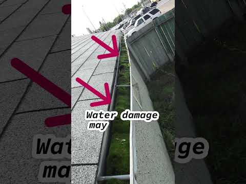 Moss Filled Rain Gutter #homeinspection #homeinspector #CloggedGutters #waterdamage  #homebuyer