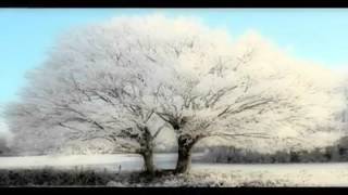 Daniel Balavoine - Le blues est blanc