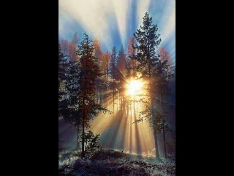 ÖMER AKDAŞ PRESENTE   Faydee x Tiesto  The business BlackJack Remix 2021 new video