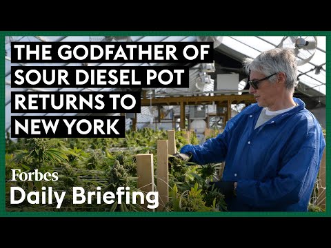 The Godfather Of Sour Diesel Pot Returns To New York