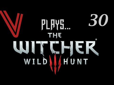 Fancy Fist Fight?! The Witcher 3 (Blind) part 30