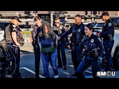 𝗣𝗔𝗥𝗞 𝗗𝗜𝗦𝗧𝗨𝗥𝗕𝗔𝗡𝗖𝗘: Police Take Woman Into Custody After Altercation at Palisades Park