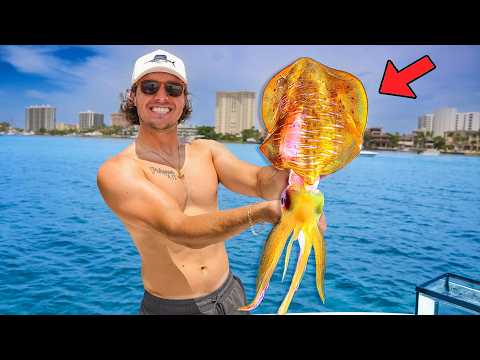 Catching TONS of WILD SEA CREATURES Underwater For Mini Saltwater AQUARIUM!