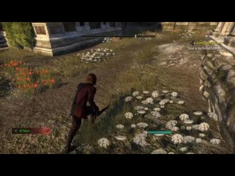 The ol' "Uhm, excuse me, sir," assassination technique is always a crowd pleaser