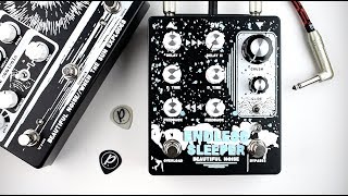 Video thumbnail for Beautiful Noise Effects Endless Sleeper Delay by Pedal of the Day
