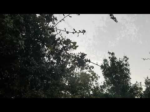 Akae Beka ft. Tiken Jah Fakoly - Everything Bless w/drums