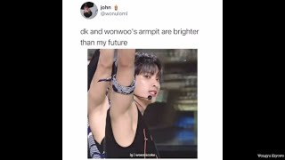 seventeen vines to watch because dk and wonwoo&#39;s armpit are brighter than my future🤣