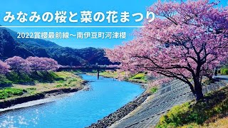 [遊記]早春迎雙喜～來去南伊豆町賞河津櫻吧！