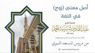 صورة 16 أصل معنى (زوج) في اللغة - الشيخ عبدالقادر شيبة الحمد رحمه الله