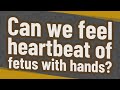 Can we feel heartbeat of fetus with hands? - Science·WHYS Can we feel heartbeat of fetus with hands?