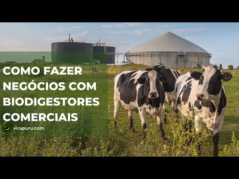 , title : 'COMO FAZER NEGÓCIOS COM BIODIGESTORES COMERCIAIS'