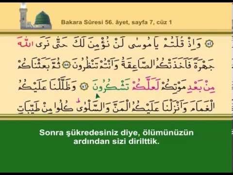 Bakara Suresi 1-15  Sayfalar