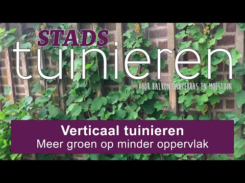 Stadstuinieren - Verticaal tuinieren #moestuin