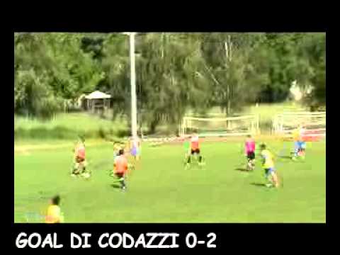 Goal Afforese - Leone