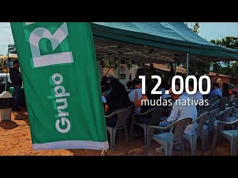 🌱 Brasil Mais Verde 🌳