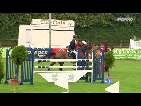 Holsteiner Verbandshengste | Turnierimpression - Barcley Dobrock 2019