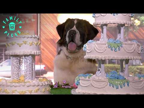 Beethoven’s Day of Fun Away from Home | Beethoven