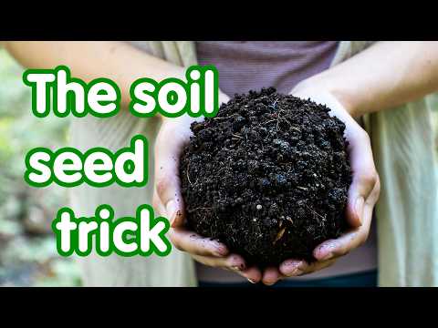 Boost New Gardens: Soil Blob from Thriving Sites