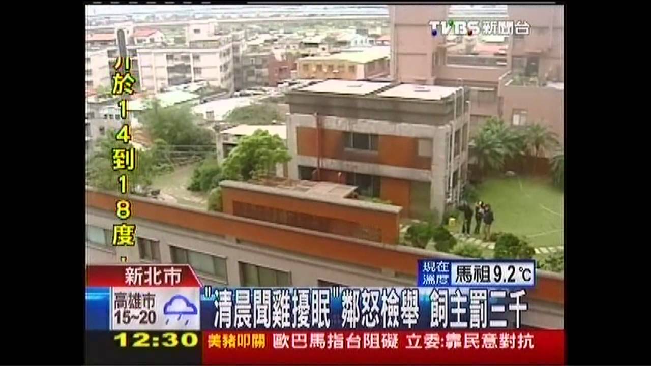 「清晨聞雞擾眠」鄰怒檢舉　飼主罰3000