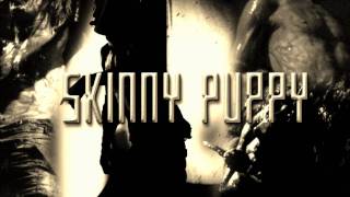 Skinny Puppy - Carry