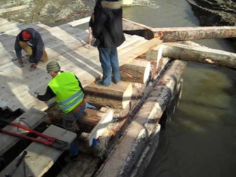 Podul Ecologic de la Marginea