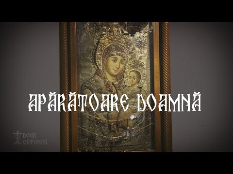 Apărătoare Doamnă