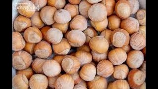 How To Blanch and Skin Hazelnuts (filberts)