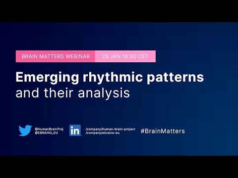 Brain Matters #8 - Emerging rhythmic patterns and their analysis