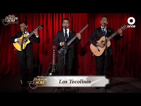 Los Tecolines - Mix - Noche, Boleros y Son
