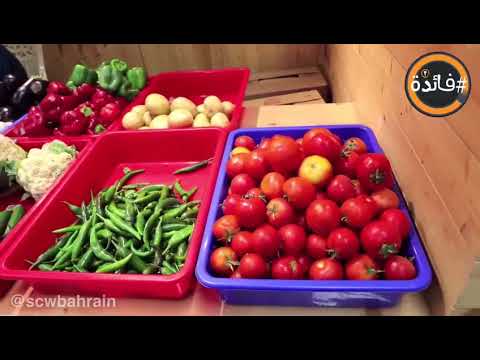 "فائدة الرمضاني ٣ ".. مرضى الضغط والسكري في رمضان