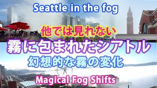 霧に包まれたシアトル: 幻想的な霧の変化 Seattle in the Fog: Magical Fog Shifts
