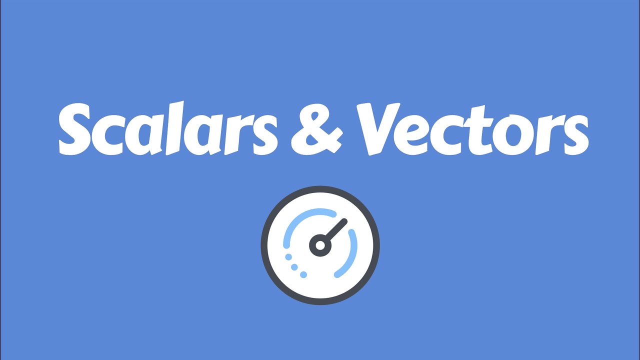 Scalar and Vector
