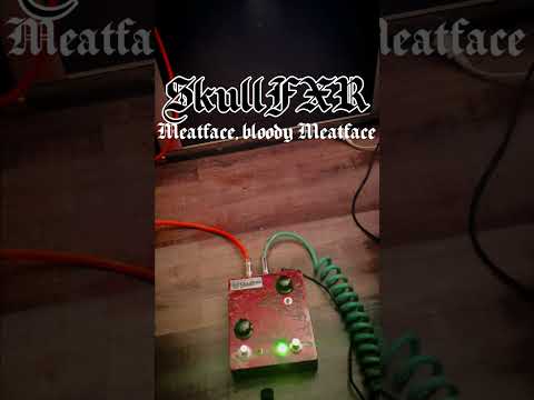 SkullFXR 'Meatface, bloody Meatface' image 10