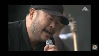 envy フジロック
