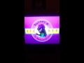 Opening To Barney And The Backyard Gang Barneys Campfire Sing Along VHS 1990