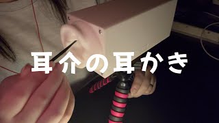 【ASMR】【音フェチ】耳介の耳かき ear cleaning【ささやきあり】