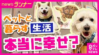 【ホントのところ】「ペットとの暮らし」本当に幸せ？犬3頭との生活を定点カメラで観察　リアルなお金事情と命との向き合い｜newsランナー〈カンテレNEWS〉