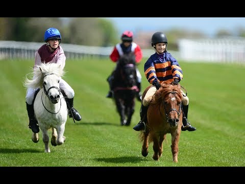 Pocket Rockets - Shetland Pony Race!