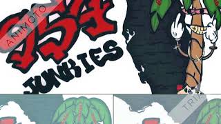 City Girls Ft. Trina - Run Them Bands Up {JunkieFast