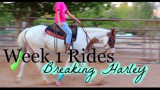 Breaking Harley | Week 1 Rides