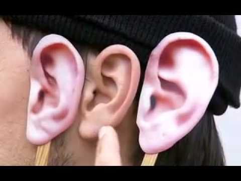 Die Sendung mit der Maus - Unfug mit Fug: Ohrabdrücke helfen, Verbrecher zu fangen