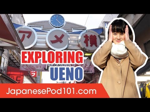 Climbing Mt Fuji Most Breathtaking Experience in Japan