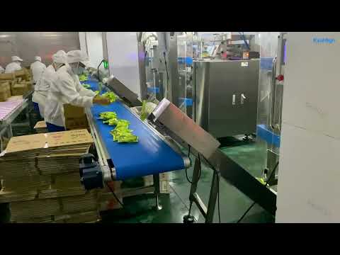 KenHigh/Flavored Ice Cube Ball VFFS Continuous Motion High Speed 100-150 BPM Packing Bagging Machine