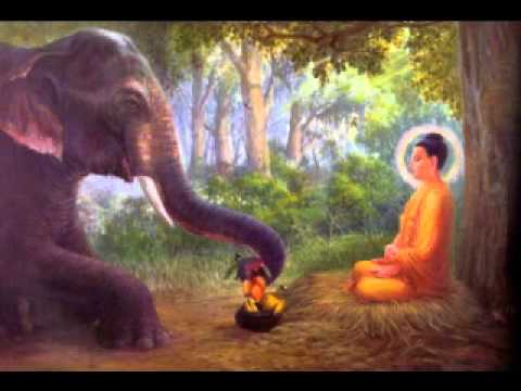 Xin được làm hạt bụi - Doãn Minh