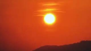 Download lagu Story Wa Senja || Best friend - Rex Orange County mp3